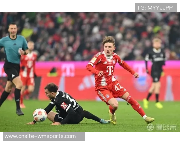 德甲争冠形势明朗拜仁15轮保持不败领先优势扩大至9分